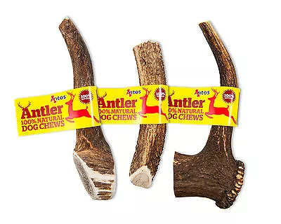 £8.49 • Buy ANTLER DOG CHEWS Antos Small Medium Large XL Stag - 100% Natural Chew - Calcium