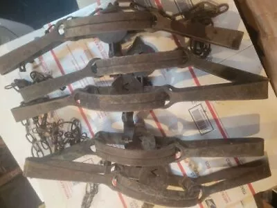 $89.95 • Buy Lot Of  5 Victor No 4 Double Long Spring Foothold Traps Beaver Otter Etc.