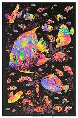 Painted Fish Blacklight Poster 23 X 35 • $12.99