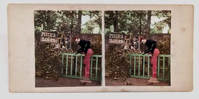 Color Tinted Stereoview Photo Pieges A Loups Wolf Traps • $35