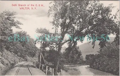 Walton NY - DELHI BRANCH OF O&W RAILROAD - Postcard Catskills • $12.50