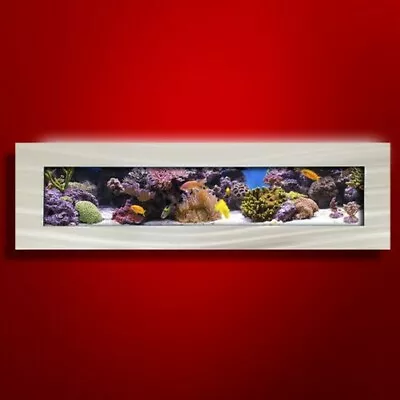 New! Original Aussie Aquarium -panoramic Brushed Aluminum Wall Mounted Fish Tank • £637.16