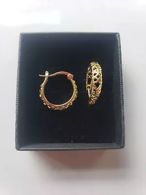 Womens Small 14k Gold Filled Hoop Earings • £8.50
