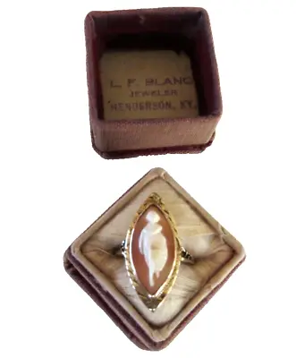 Antique 14 K Yellow Gold ART NOUVEAU Conch Shell Cameo Dress RING Sz 8 Orig Box • $719.20