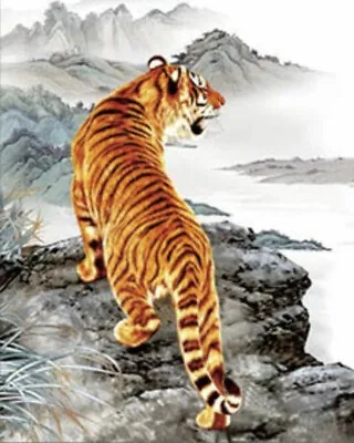  TIGER ON A MOUNTAIN - 3D TIGER PICTURE 300mm X 400mm • £7.95