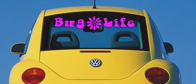 Bug Life Windshield Or Rear Window Decal For VW Beatle • $10.99