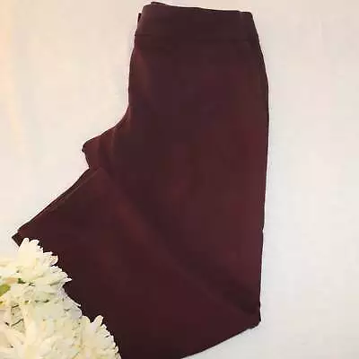 Size 14 Vince Camuto Pants • $5