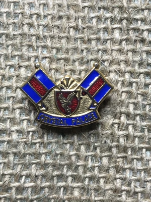 £5 • Buy Crystal Palace Football Club Vintage Enamel Pin Badge | The Eagles