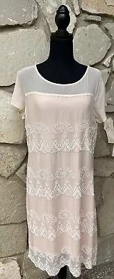 SUNDANCE Dress Large Pink Embroidered Semi Sheer Silk Chiffon Cap Sleeves Lined • $42.99