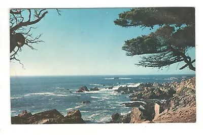 SEVENTEEN MILE DRIVE MONTEREY PENINSULA CALIFORNIA Vintage Postcard AF230 • $0.99