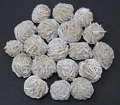 $6.90 • Buy 1/4 Lb Desert Rose Selenite Stones (0.5 - 1.5  Crystal Healing Love Stone) 4 Oz