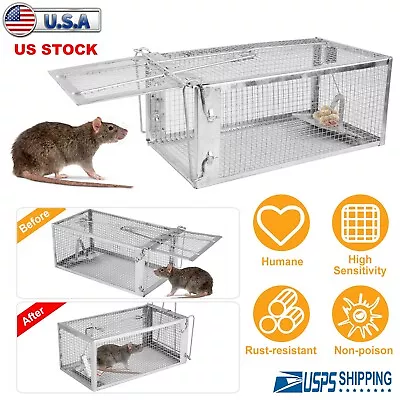 Humane Live Animal Trap Control Steel Cage For Rat Raccoon Skunk Cat Rabbit Mink • $20.97