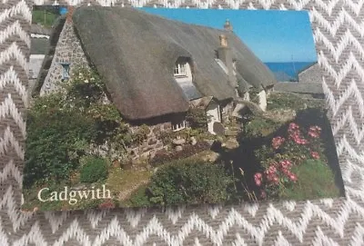 Cadgwith • £2.24