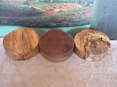 MIXED SPECIES  5 3/4 X 1 3/4 Turning Wood Trivets Saucer Small Project Blanks • $22