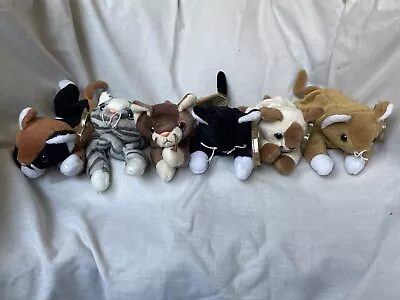 £25 • Buy Ty Beanie Babies Cat Bundle With Tags