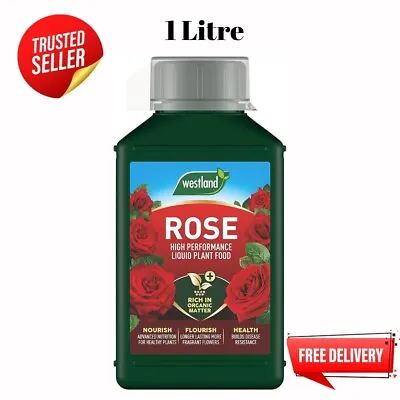 Westland Rose Plant Food Feed Horse Manure Organic Plant Potting Mix Compost New • £11.49