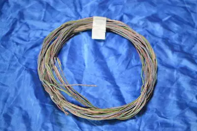 Last Play 40S Western Electric 16Ga Single Wire Enamel Silk 2.53Mx2 15180  _2873 • $202.21