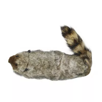 £10.98 • Buy 1XToy Magic The Rocky Raccoon Robbie Magic Tricks Stage Street Illusions Gimmick