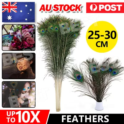 Bulk 25-30cm Ostrich Feather DIY Crafts Feathers Wedding Party Home Decoration • $4.95
