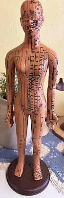 Acupuncture Female Model High Definition  Chinese Human Body W/ Instructions 20” • $25