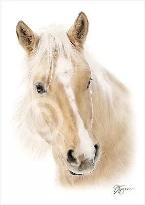 PALOMINO HORSE Colour Pencil Drawing Print A4 / A3 Signed By UK Artist Artwork • £9.99