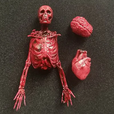 1:12 Scale Dollhouse Miniatures Handmade Brain Brain Skeleton Accessories Lot • $28.99