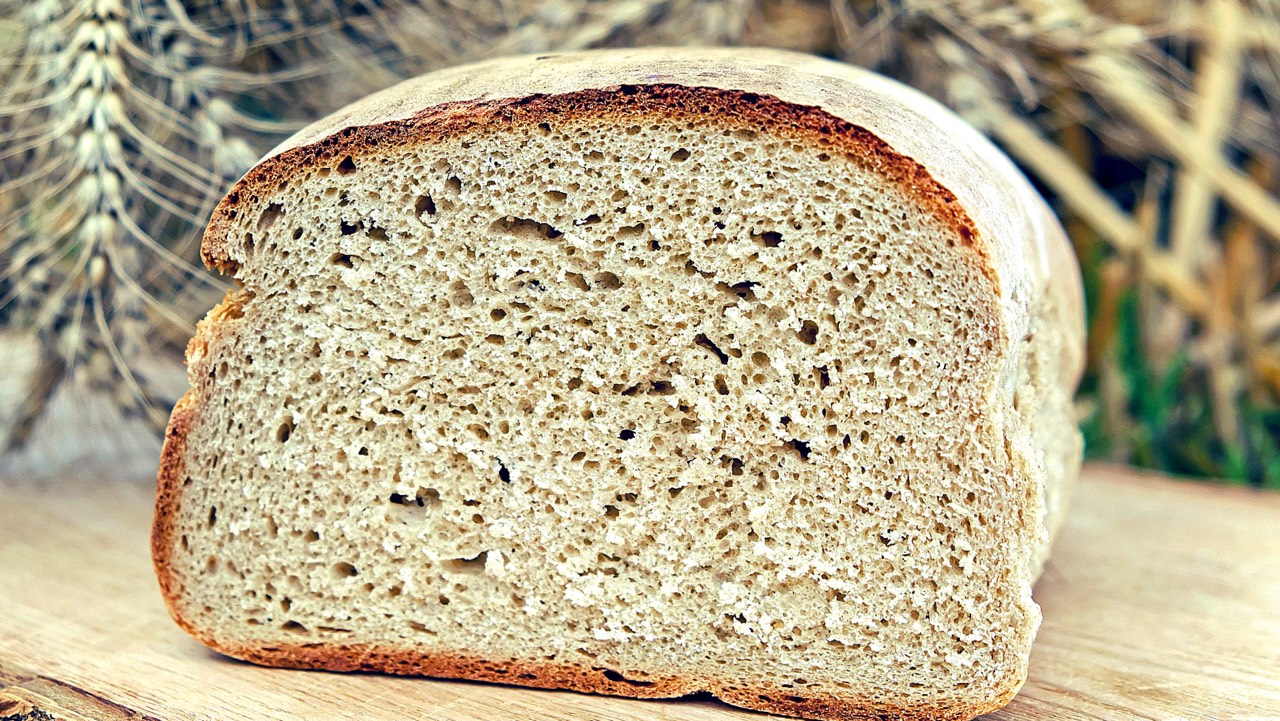 The best bread makers for 2023. Purchase guide