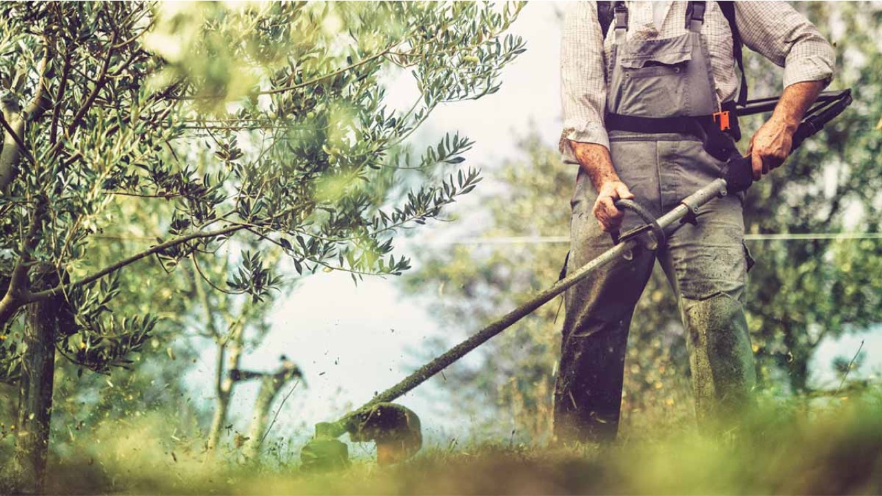 Best Brush Cutter for 2023