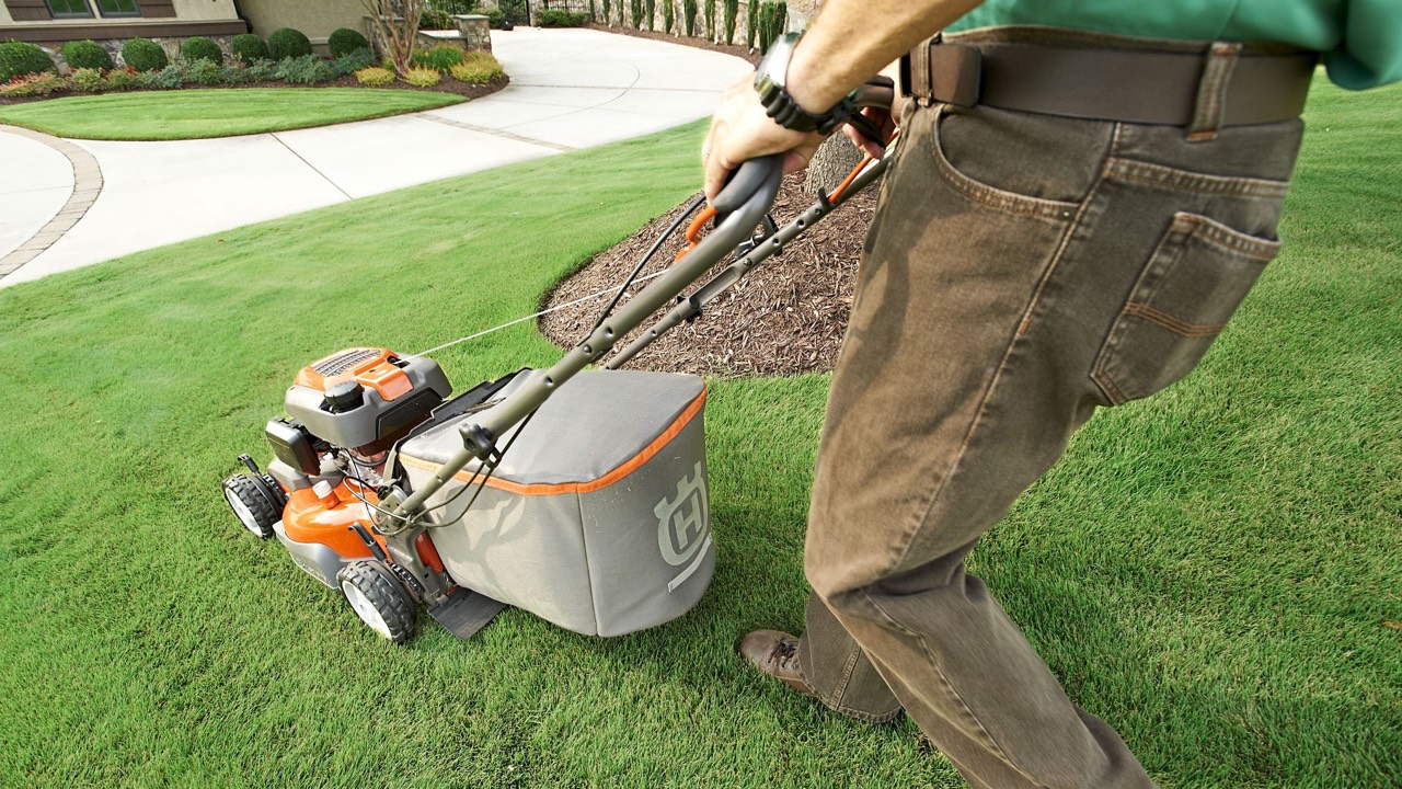 Best Lawn Mower for 2023